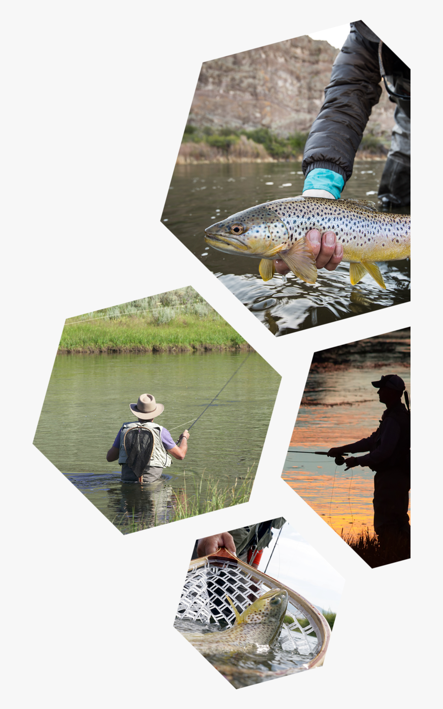 Fly Fisherman Clipart, Transparent Clipart