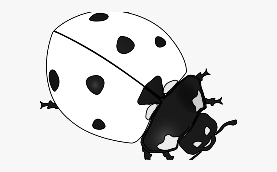 Lady Beetle Clipart Black And White, Transparent Clipart