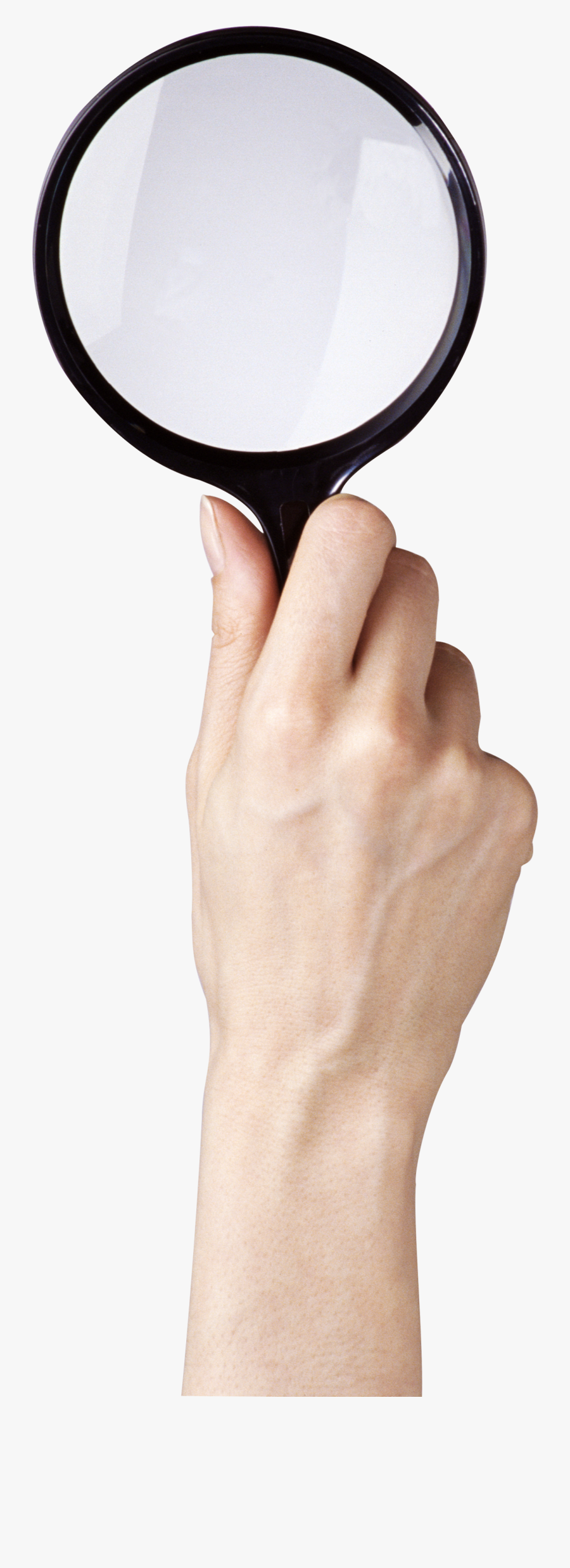 Magnifier Png, Transparent Clipart