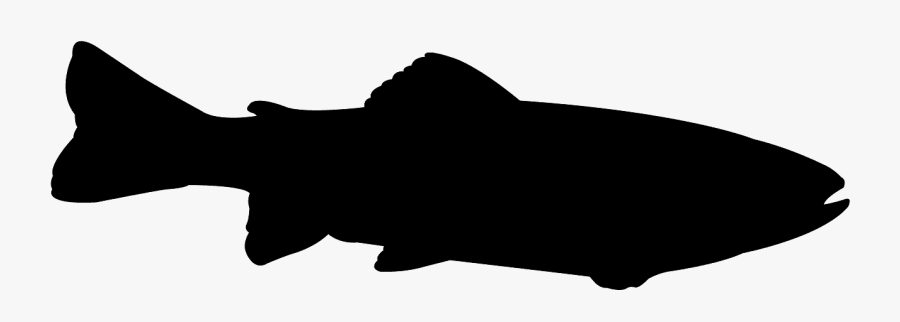 Sand Tiger Shark Silhouette, Transparent Clipart