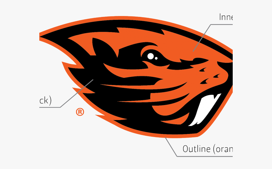 Beaver Clipart Clip Art, Transparent Clipart