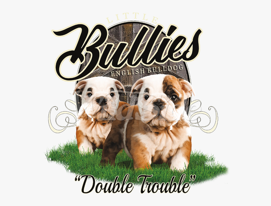 Australian Bulldog, Transparent Clipart