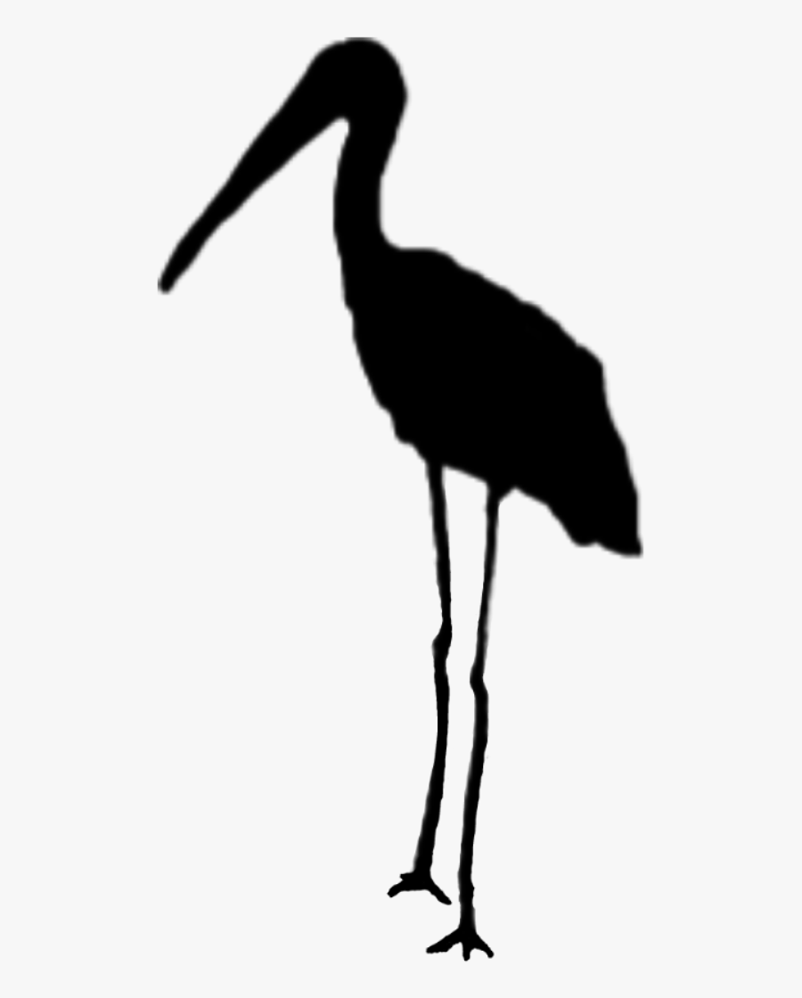 #stork #silhouette #black #bird #vipshoutout Sticker - Shorebird, Transparent Clipart