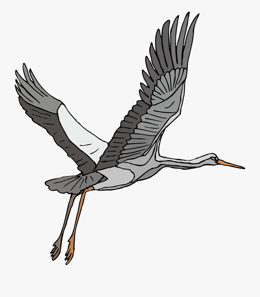 Stork Vector Heron - Red Crowned Crane Vector, Transparent Clipart