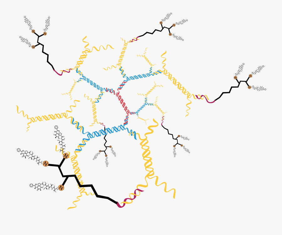 Oligo With 3 Drug Molecules 18 Drug Molecules On 3dna - Map, Transparent Clipart