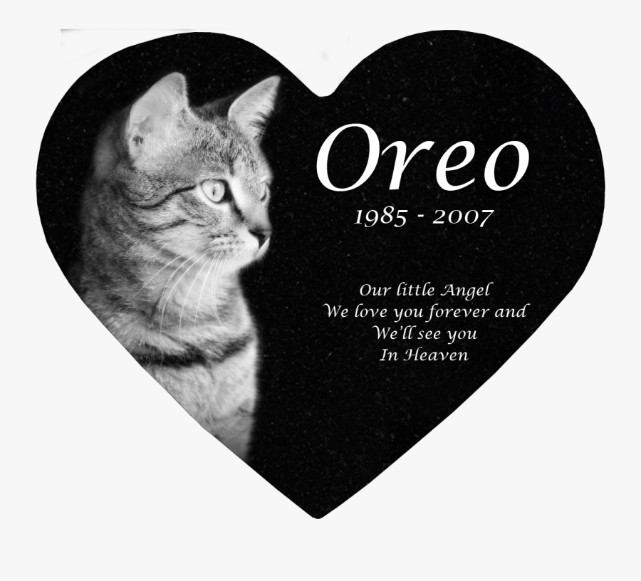 Headstone Clipart Etching - Adult Cats For Adoption, Transparent Clipart