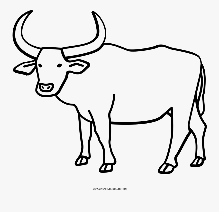 Ox Drawing, Transparent Clipart