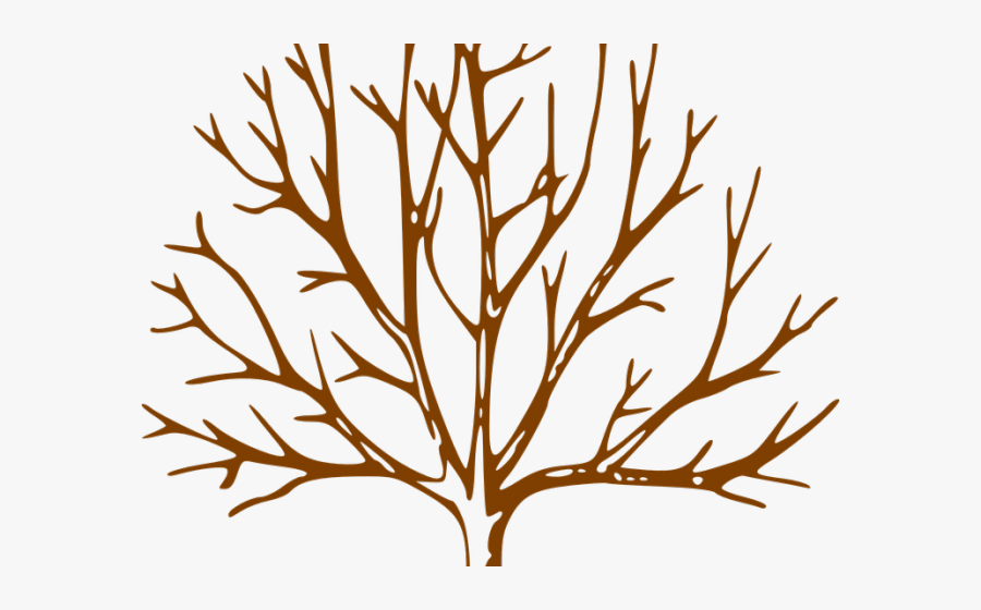Tree Drawing With Branches, Transparent Clipart