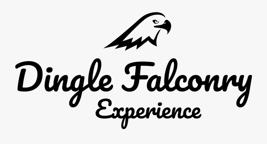 Falcon Clipart Hawk Harris - Quench Magazine, Transparent Clipart