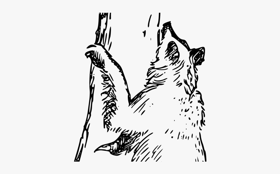 Situation Cliparts - Bear Climbing Tree Clipart, Transparent Clipart