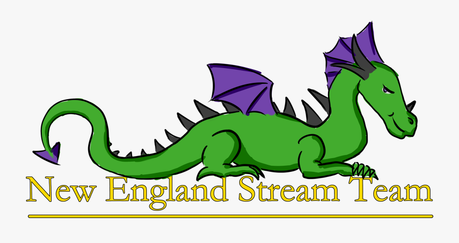 The New England Stream Team - Iguana, Transparent Clipart