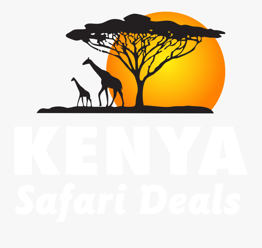 Kenya Safari Deals - Acacia Medical Centre Ltd, Transparent Clipart