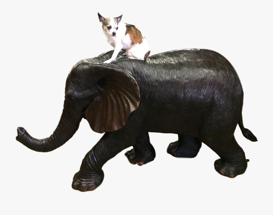 Clip Art Elephant Trunk Snake - Indian Elephant, Transparent Clipart