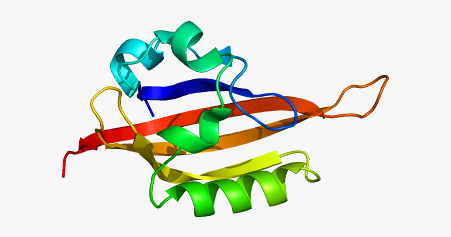 Dna Clipart Genetic Mutation - Epas1 Protein, Transparent Clipart