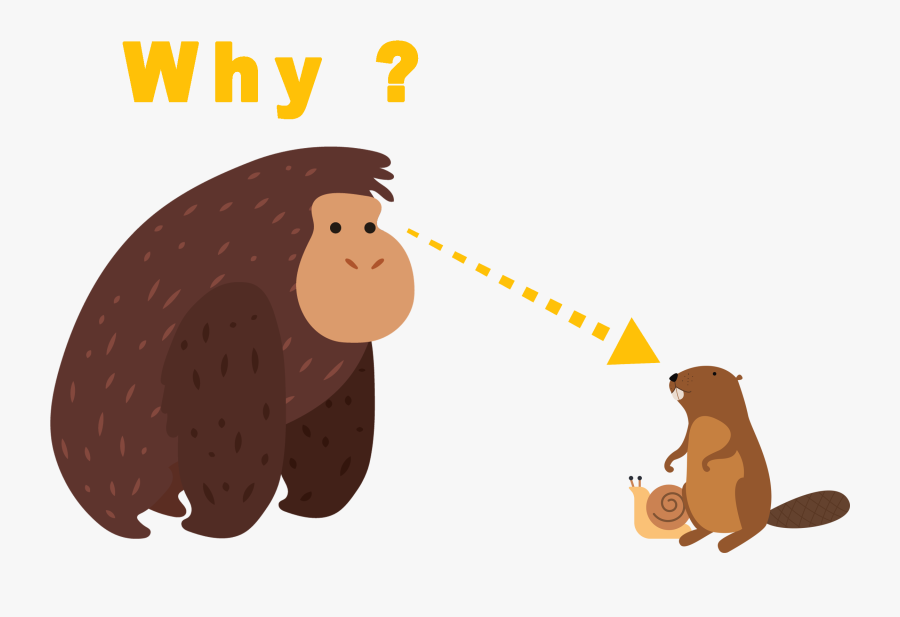 Vector Graphics, Transparent Clipart