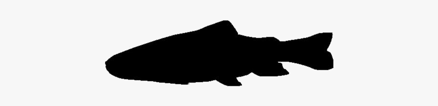 Transparent Brook Trout Clipart, Brook Trout Png Image - Silhouette, Transparent Clipart