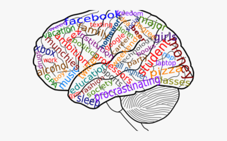 Distractions Cliparts - Blank Brain Diagram, Transparent Clipart