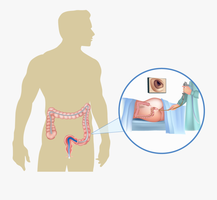 Clip Art Colon Examination Call Today - Atıcılık Ve Avcılık Federasyonu, Transparent Clipart