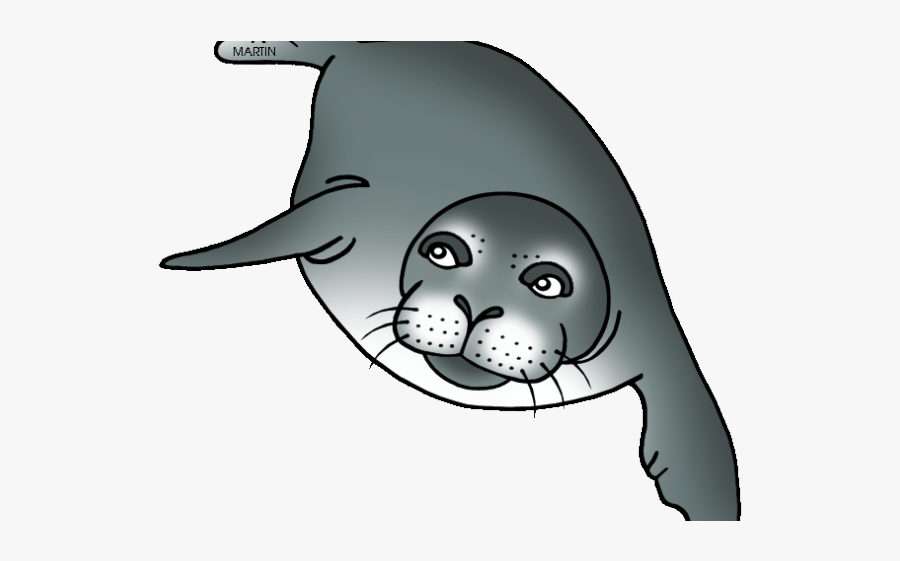 Monk Seal Clipart, Transparent Clipart