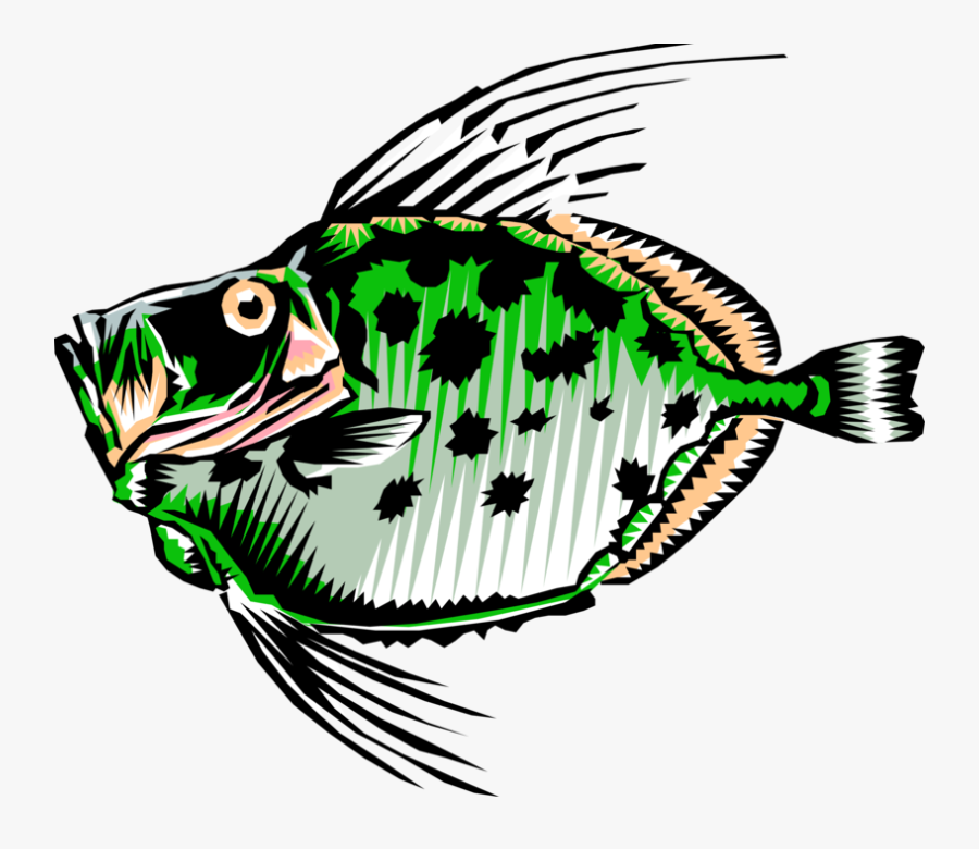 Dory Fish Vector Png, Transparent Clipart