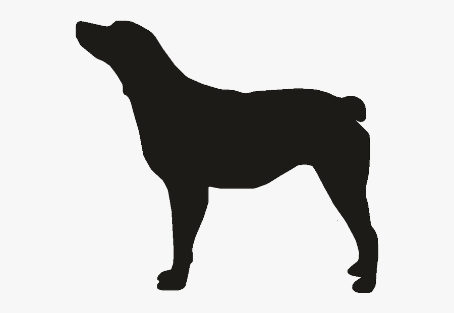 Black And Tan Coonhound Draft Horse Dog Breed Mule - Outward Hound Life Jacket Size Chart, Transparent Clipart