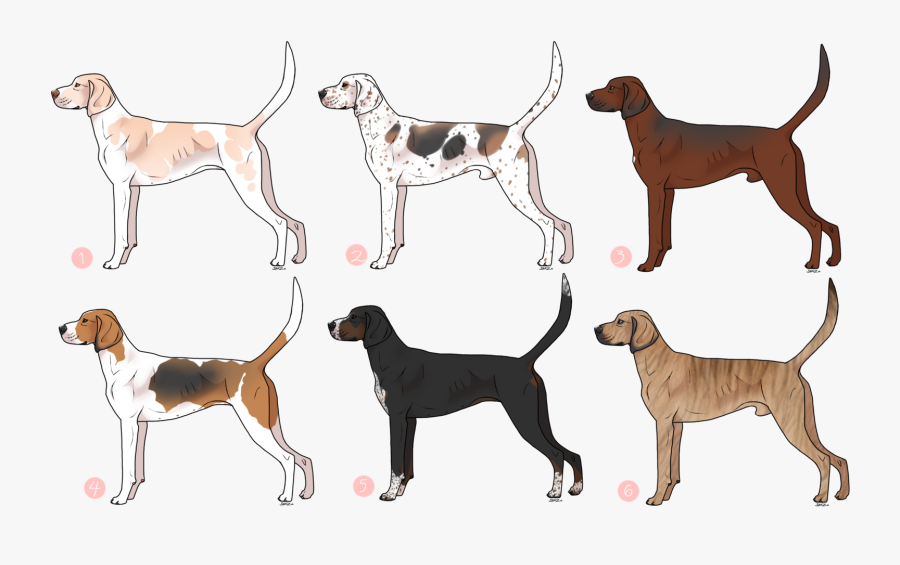 Dog Breed English Foxhound American English Coonhound - Pomeranian Paintings On Transparent Background, Transparent Clipart