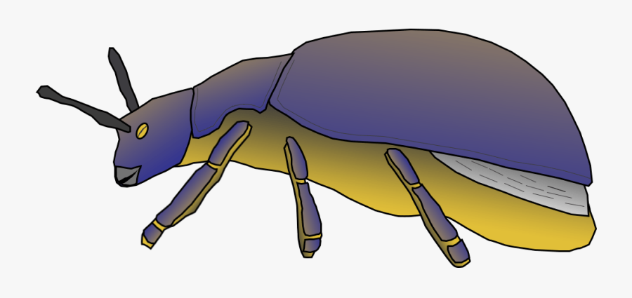 Weevil, Transparent Clipart