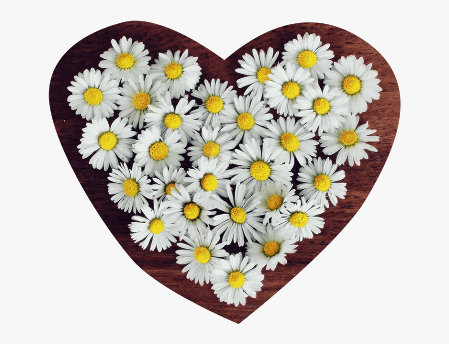 Flower Png Heart Transparent - Profile Icon Whatsapp Flower, Transparent Clipart