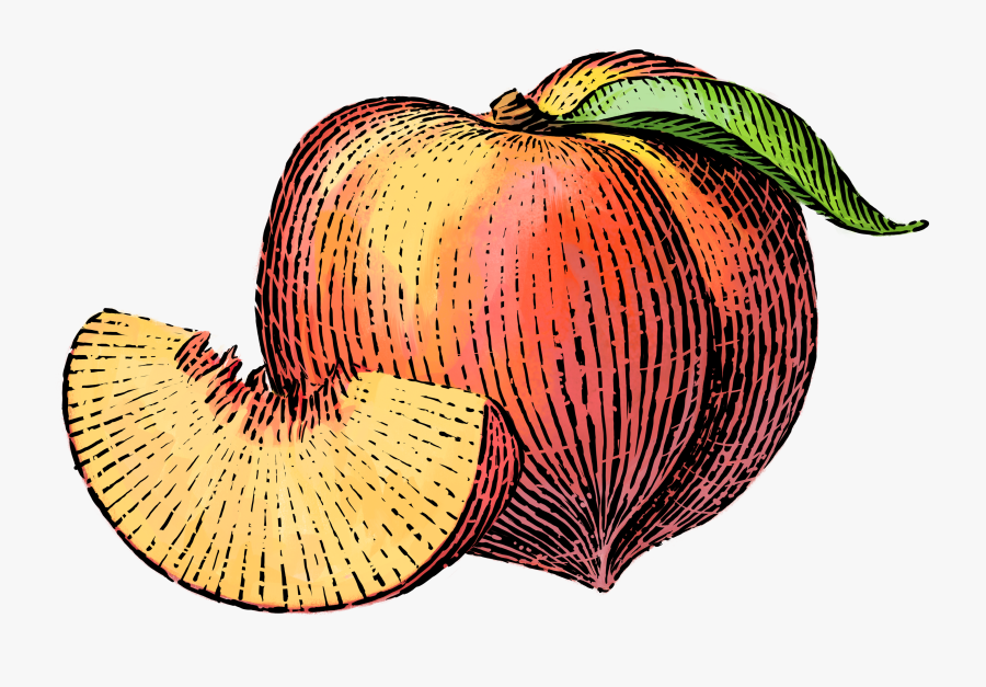 Clip Art Peach Images, Transparent Clipart
