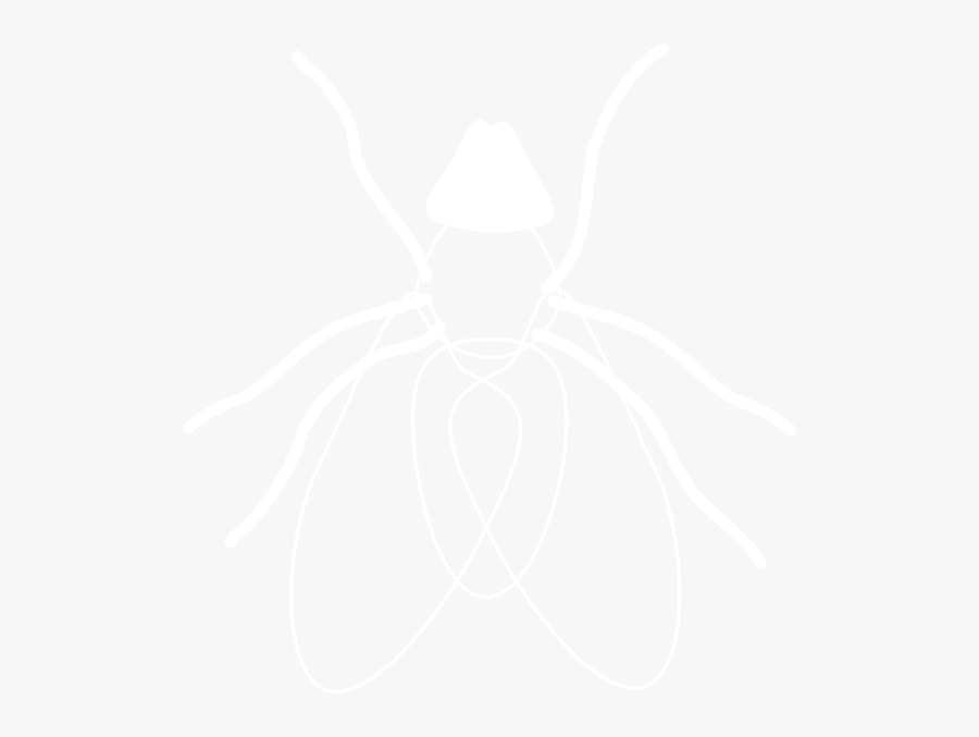 Whitefly Drawing, Transparent Clipart
