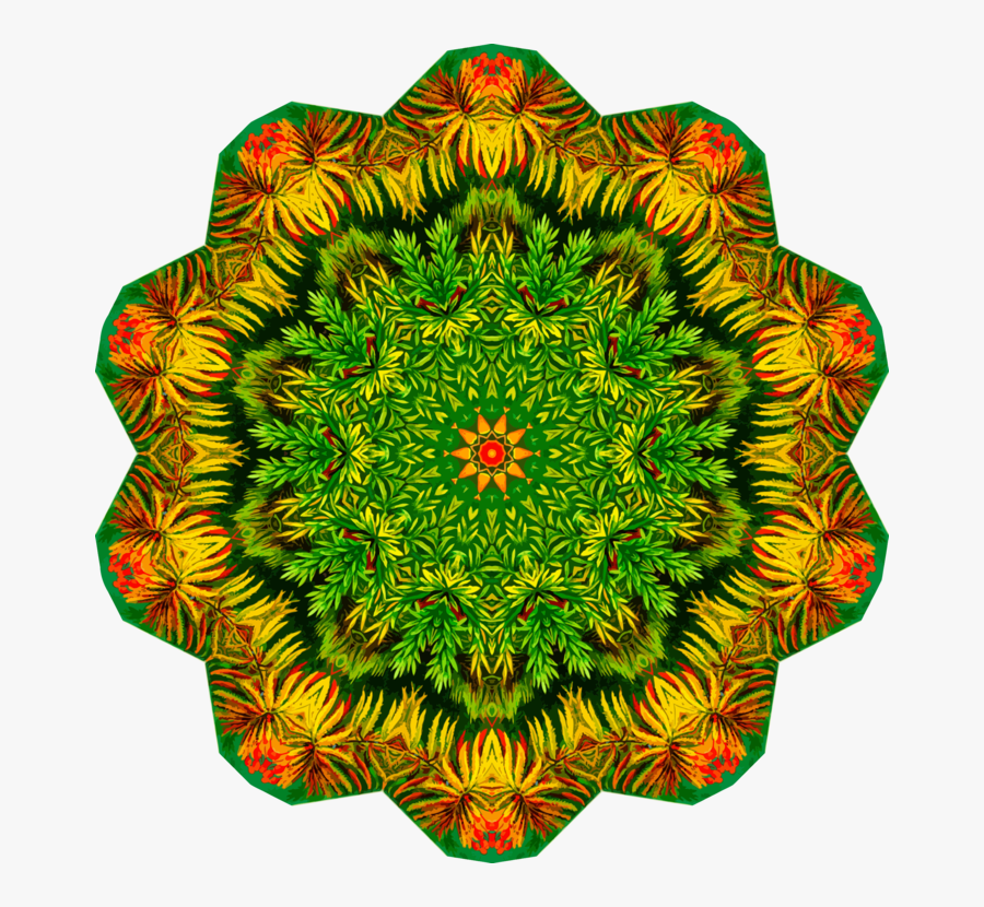 Island Clipart Drawing - Ernst Haeckel, Transparent Clipart