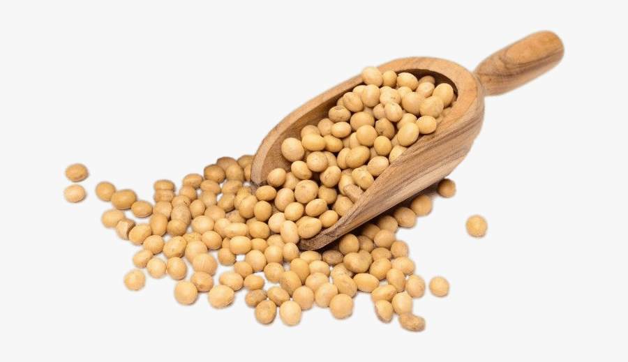 Scoop Of Dried Soybeans - Soybeans Gmo, Transparent Clipart