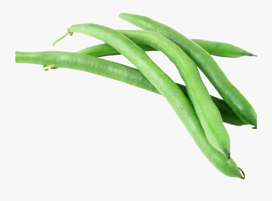 Green Bean Png Clipart Transparent Green Beans , Free Transparent
