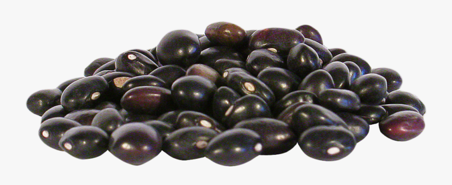 Beans Png Image Best - Black Turtle Beans Png, Transparent Clipart