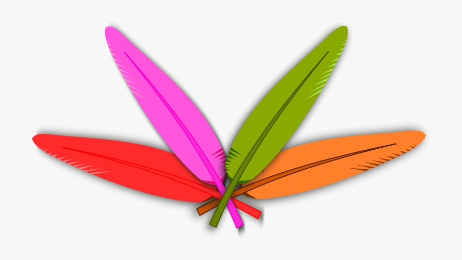 Colored Feather - Turkey Feathers Clip Art, Transparent Clipart