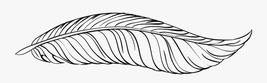 Feather Outline Png - White Feather Png Illustration, Transparent Clipart