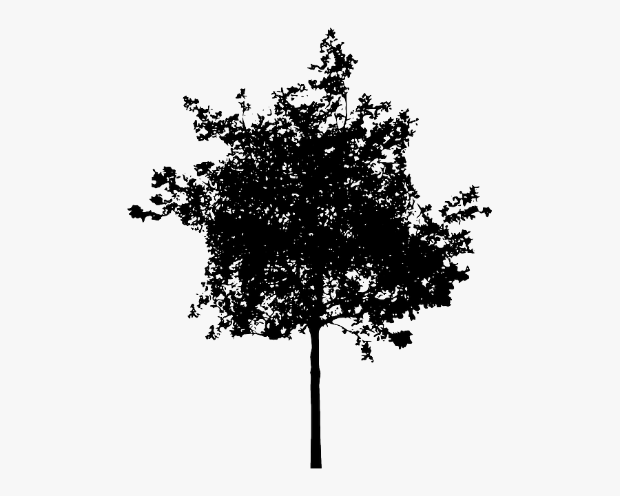 Bush Png Black And White-plus - Tree Silhouette Watercolor Png, Transparent Clipart