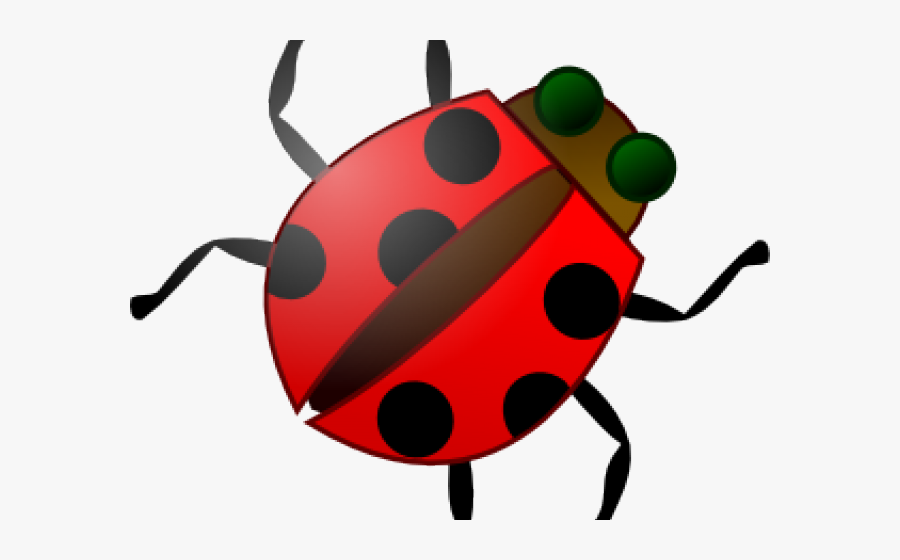 Beetle Clipart Clip Art - Bug Clipart Png, Transparent Clipart