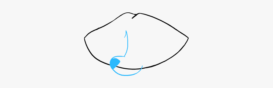 How To Draw Raccoon, Transparent Clipart