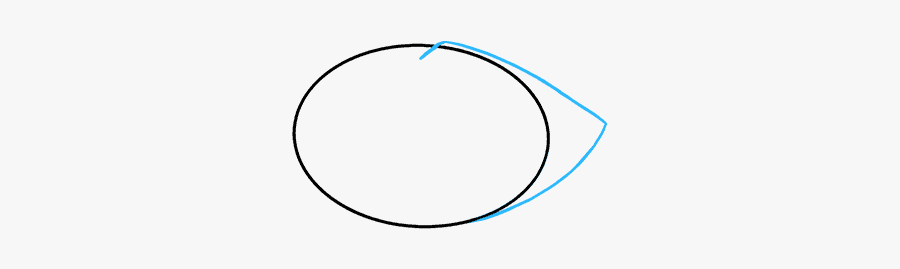 How To Draw A Raccoon - Circle, Transparent Clipart