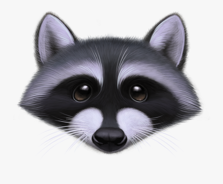 Procyon, Transparent Clipart