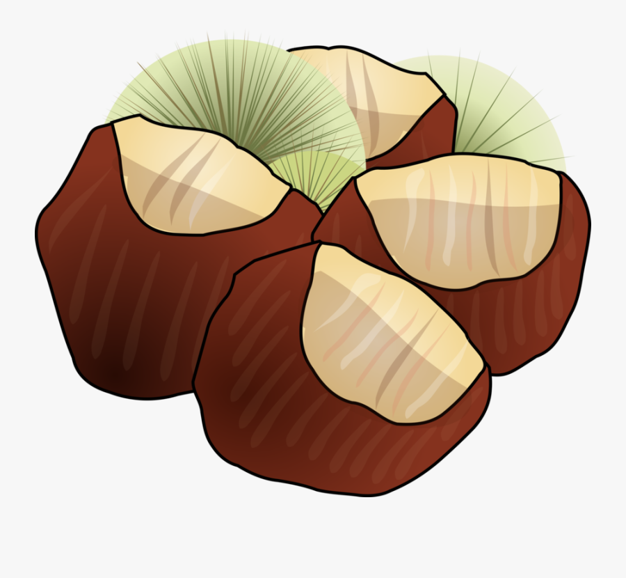 Plant,food,petal - Chestnuts Clipart, Transparent Clipart