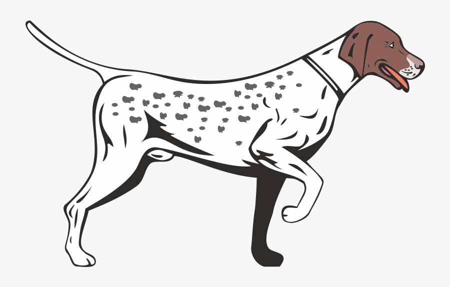 German Shorthaired Pointer German Longhaired Pointer - German Shorthaired Pointer Vector, Transparent Clipart