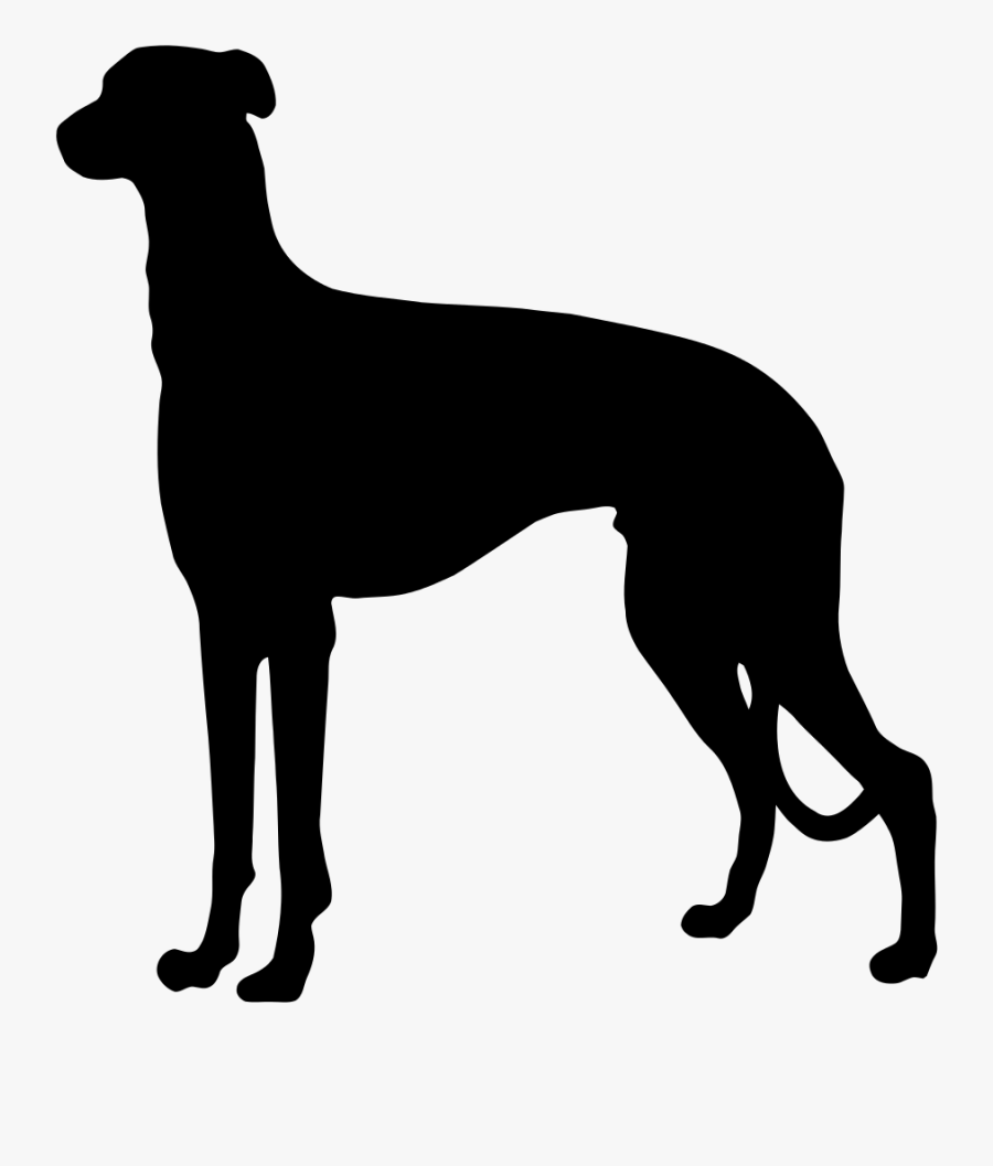 German Shorthaired Pointer German Wirehaired Pointer - German Shorthair Dog Silhouette, Transparent Clipart