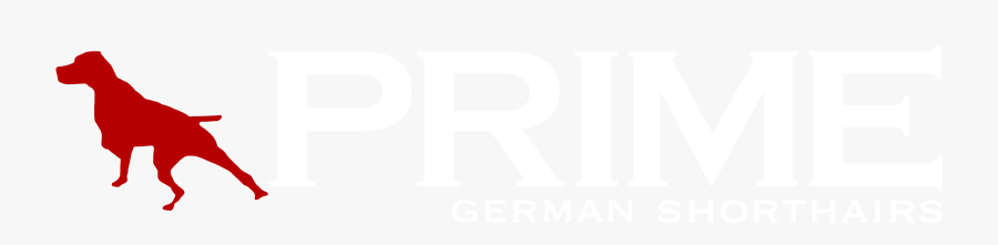 Prime Shorthairs, Transparent Clipart