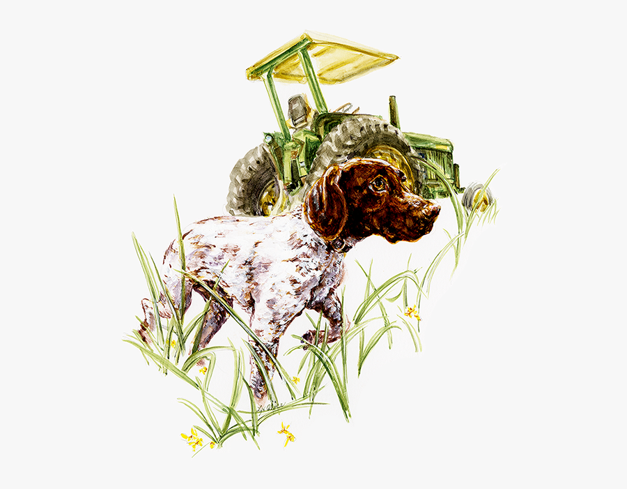 Illustration, Transparent Clipart