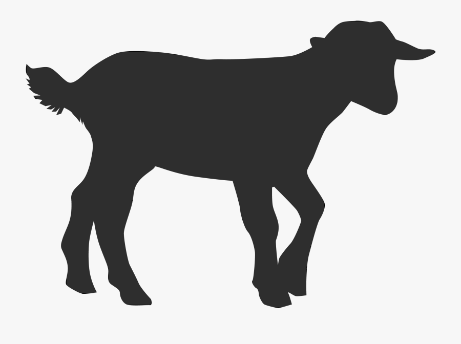 Hoodie Sheep German Shorthaired Pointer Goat - Dairy Cow, Transparent Clipart
