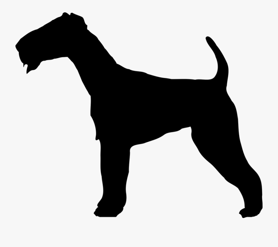 Terrier, Dog, Doggy, Outline, Animal, Coat, Shape - Belgian Draft Horse Silhouette, Transparent Clipart