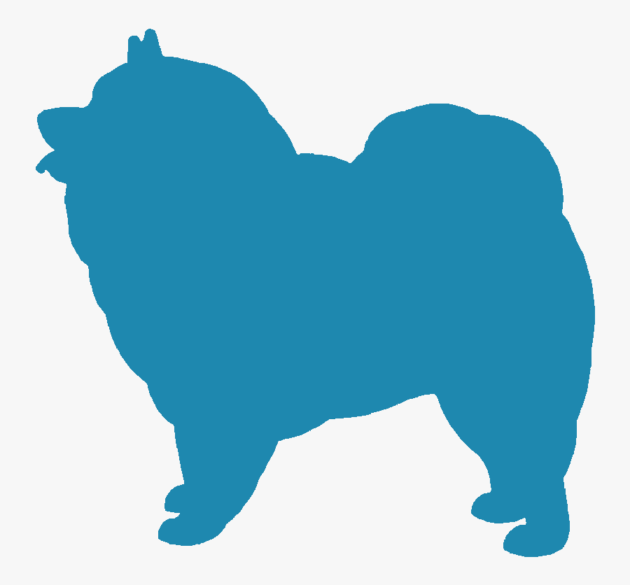 Keeshond - Companion Dog, Transparent Clipart