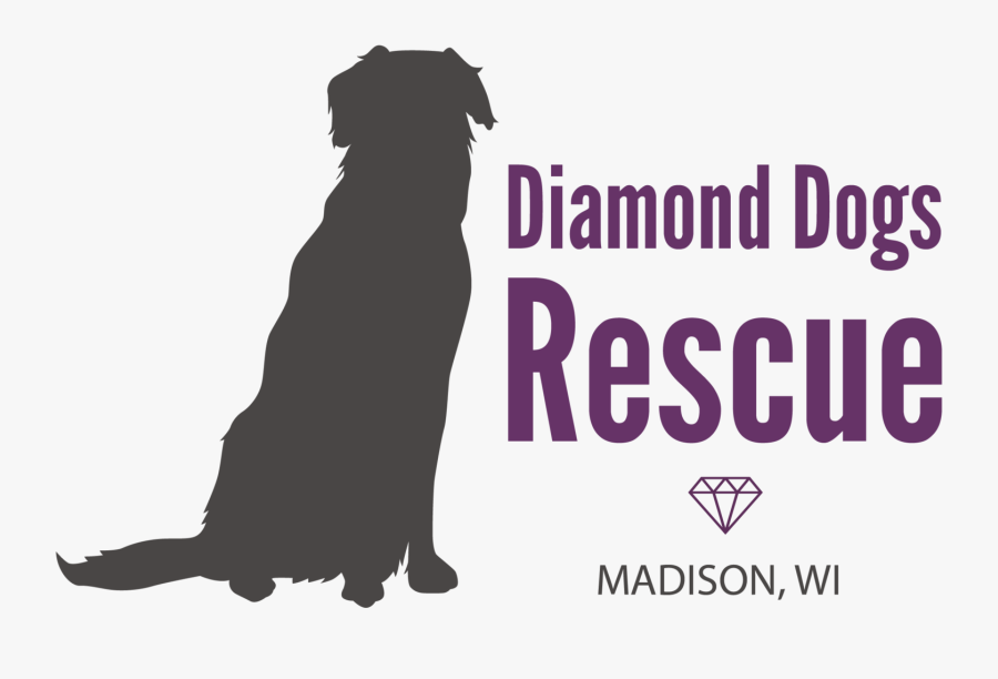 Dogs Vector Pet Dog - Poster, Transparent Clipart